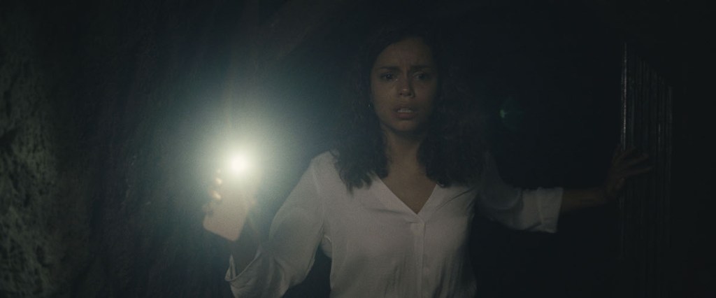 Film Review: Barbarian