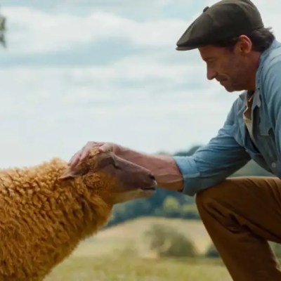 Film Review: The Sheep&nbsp;Detectives